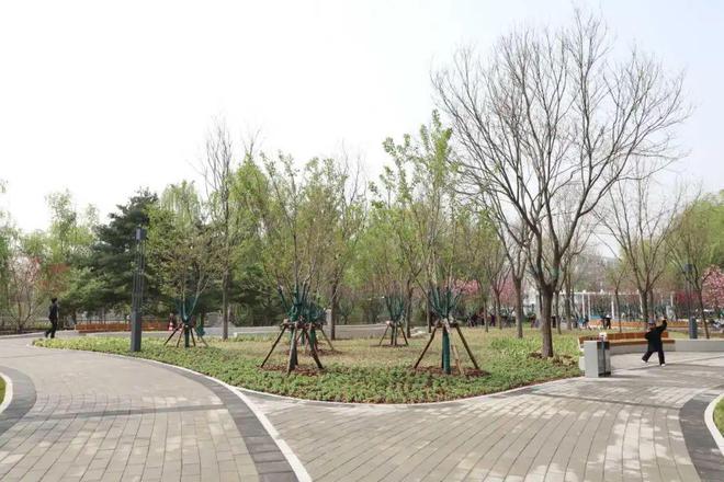 13号线旁这个公园升级亮相j9九游会登录开园啦！地铁(图3)